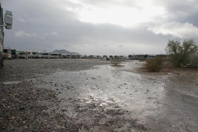 2010 Quartzsite Blue Bird rally