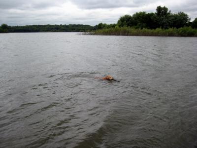 Raccoon River