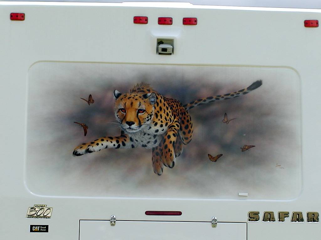 Cheetah Mural