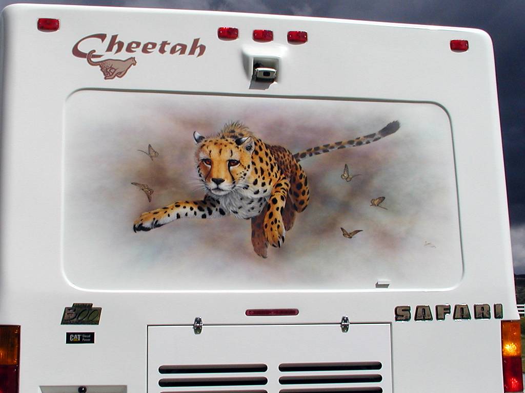 Cheetah Mural