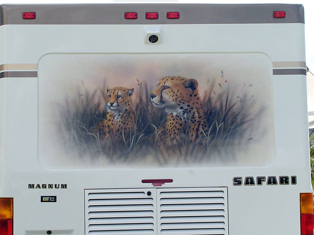 Cheetah Mural