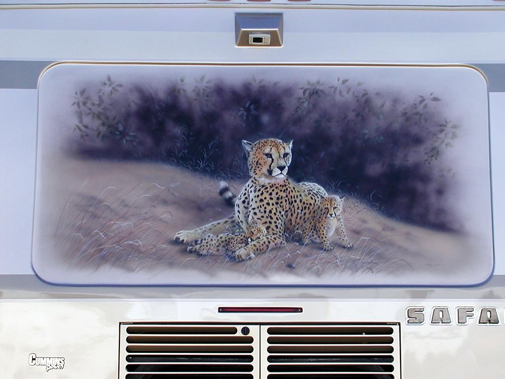 Cheetah Mural