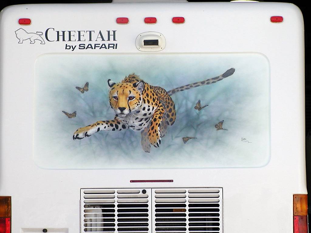 Cheetah Mural