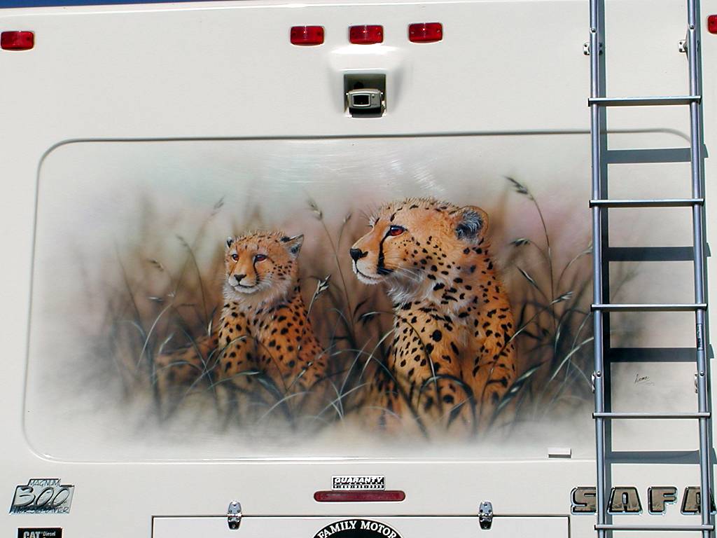 Cheetah Mural