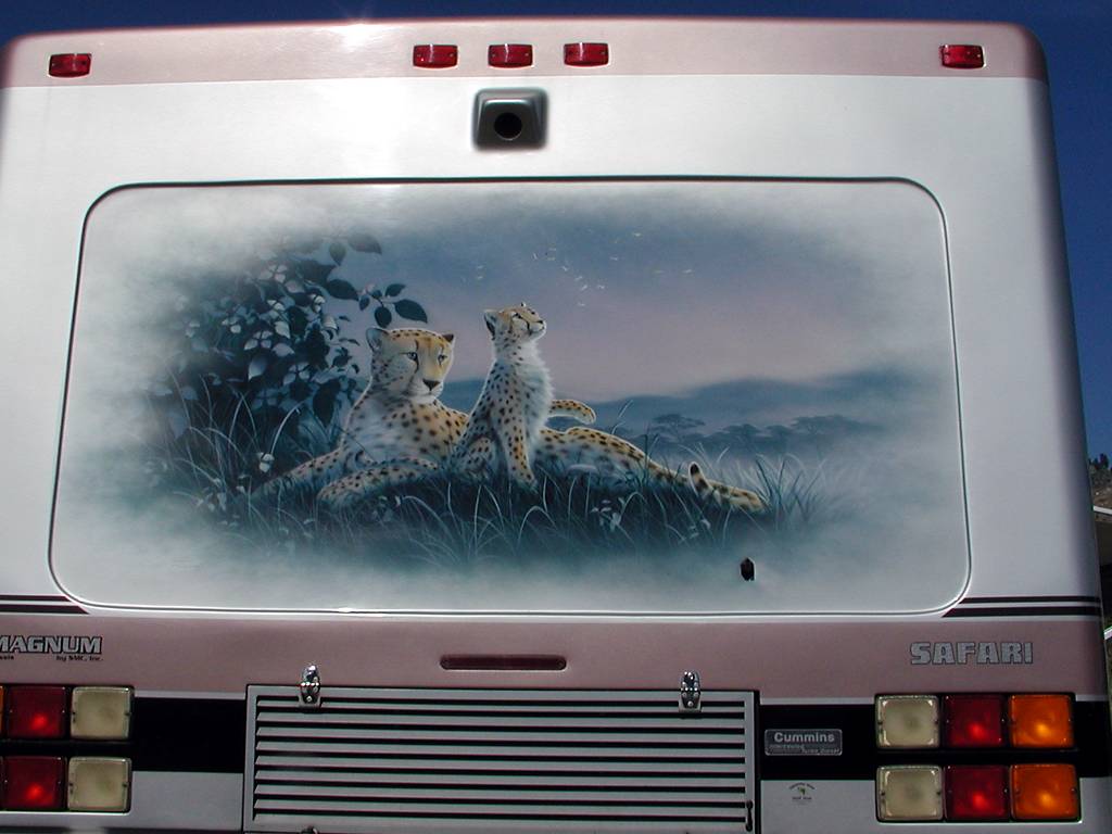 Cheetah Mural