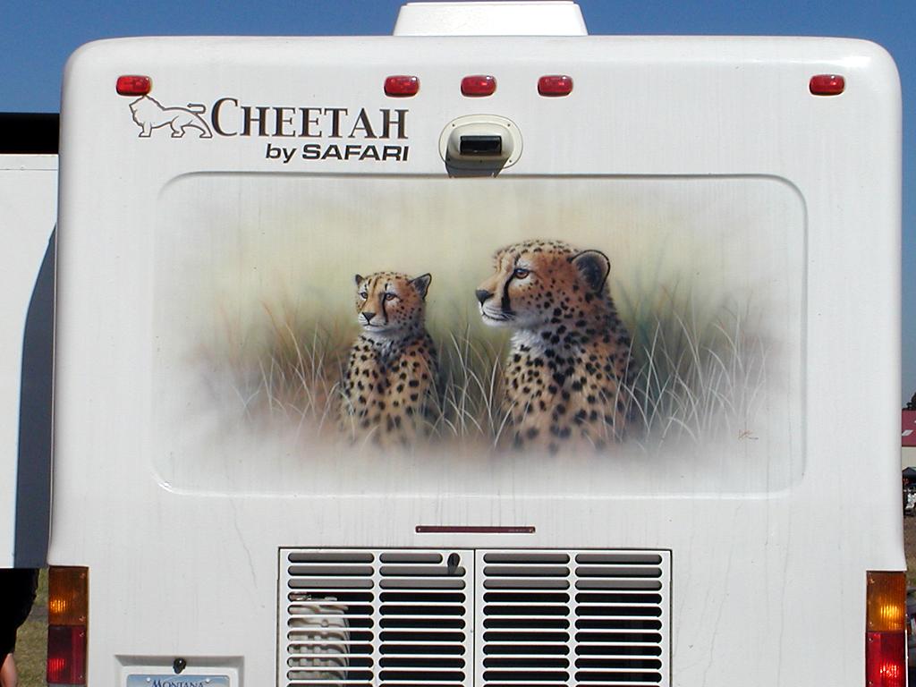 Cheetah Mural