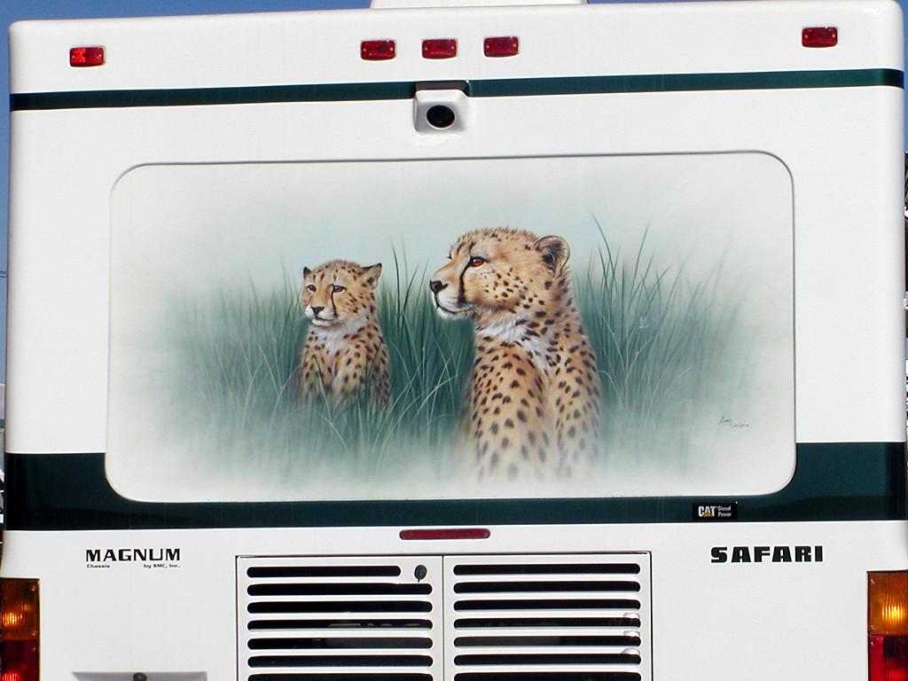 Cheetah Mural