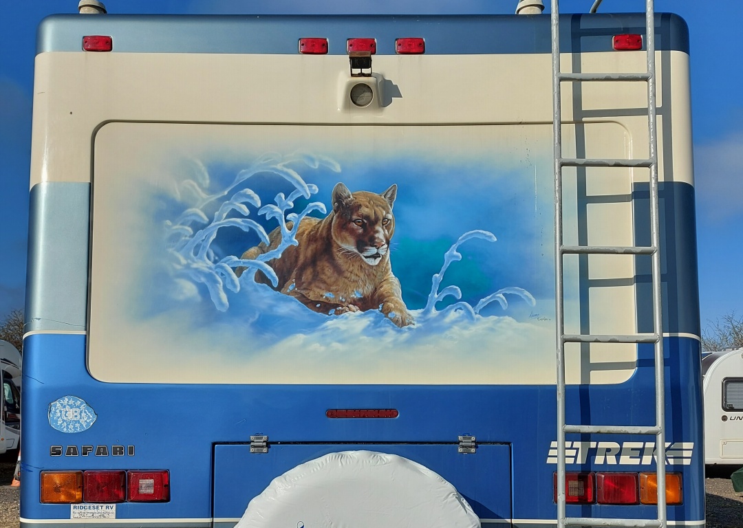 Cougar Mural