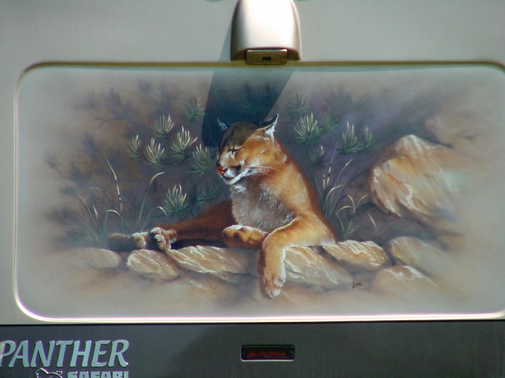 Cougar Mural