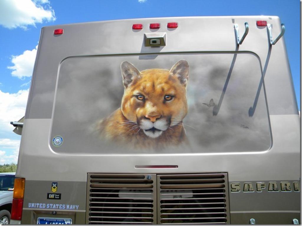 Cougar Mural