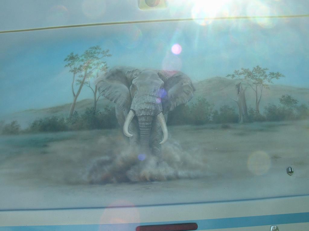 Elephant Mural