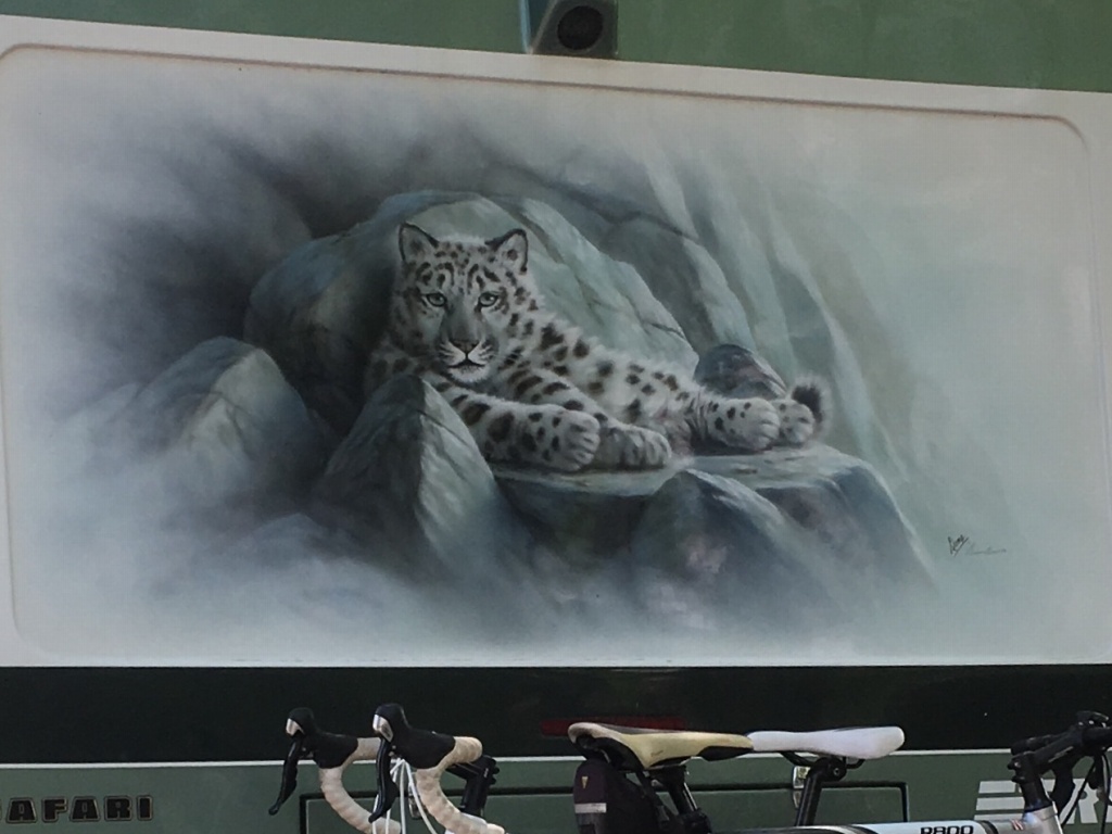 Leopard Mural