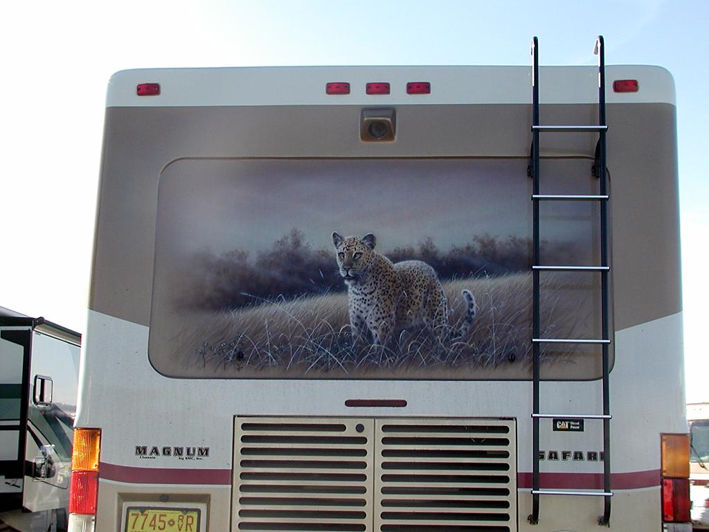 Leopard Mural