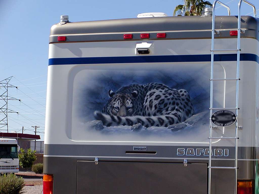 Leopard Mural