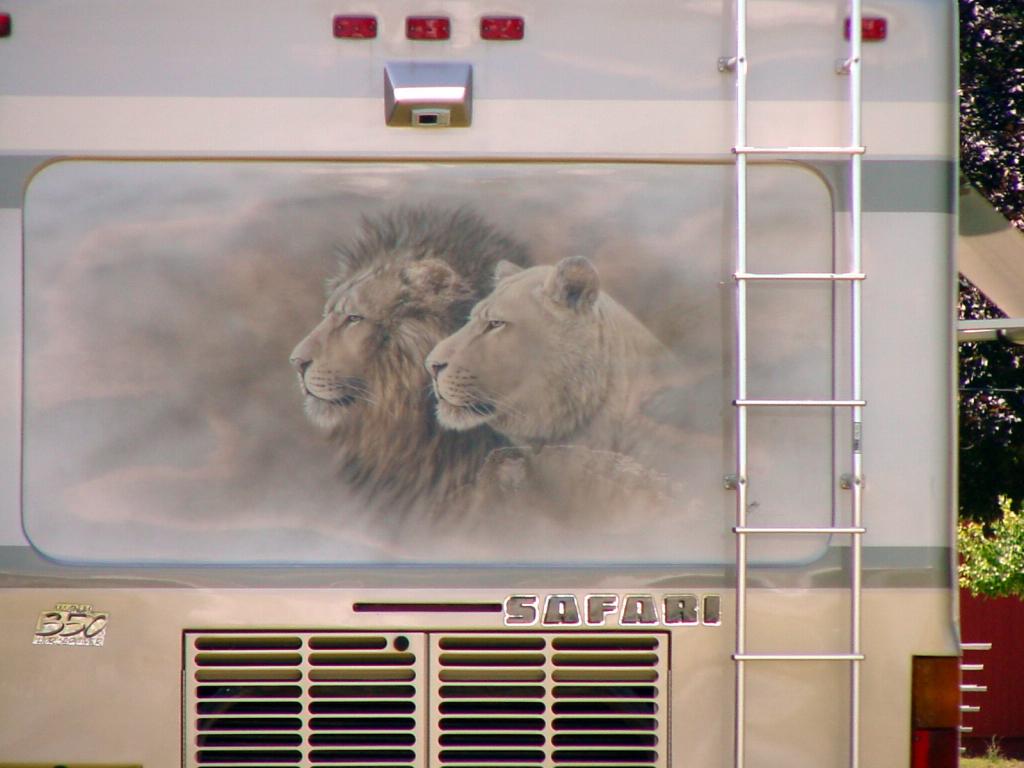 Lion Mural