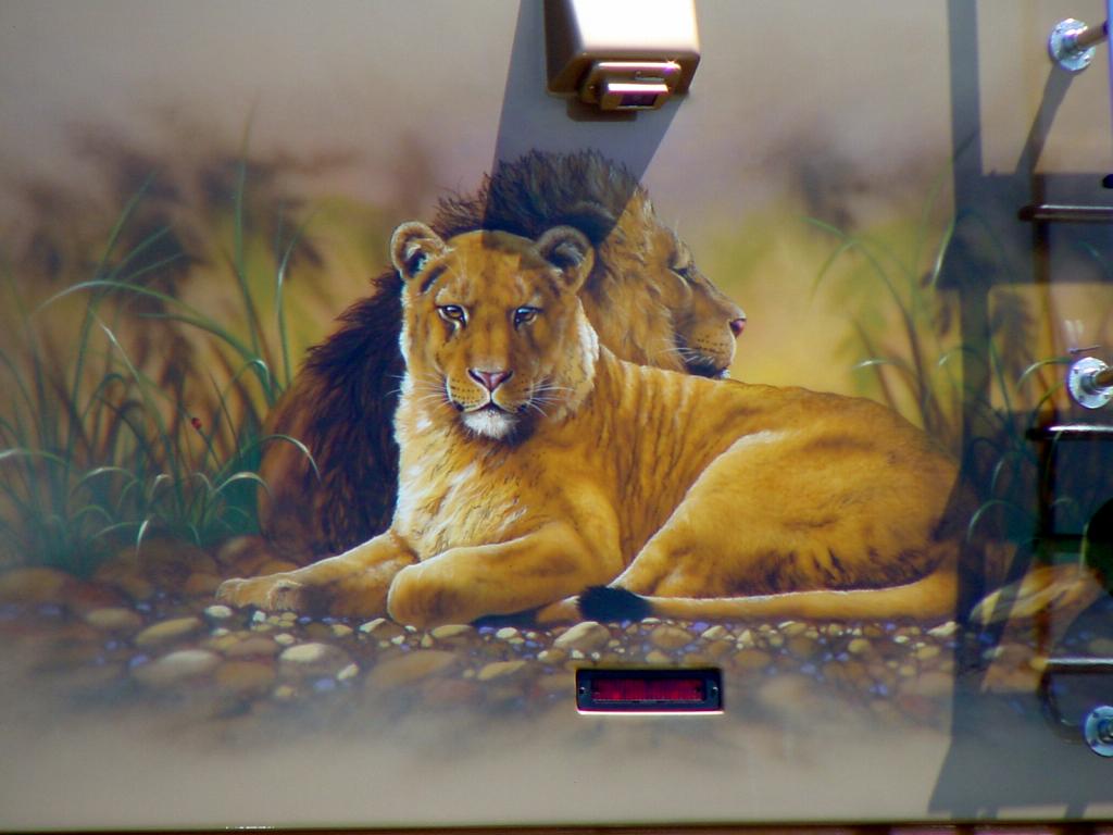 Lion Mural