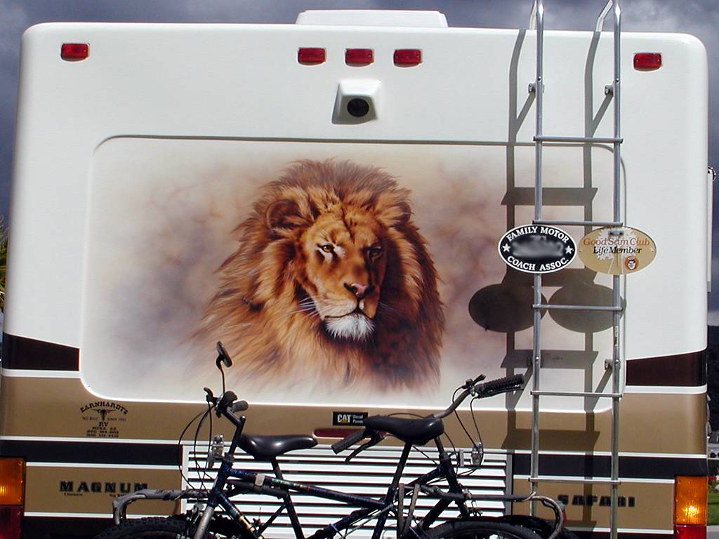 Lion Mural