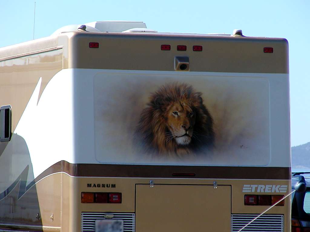 Lion Mural