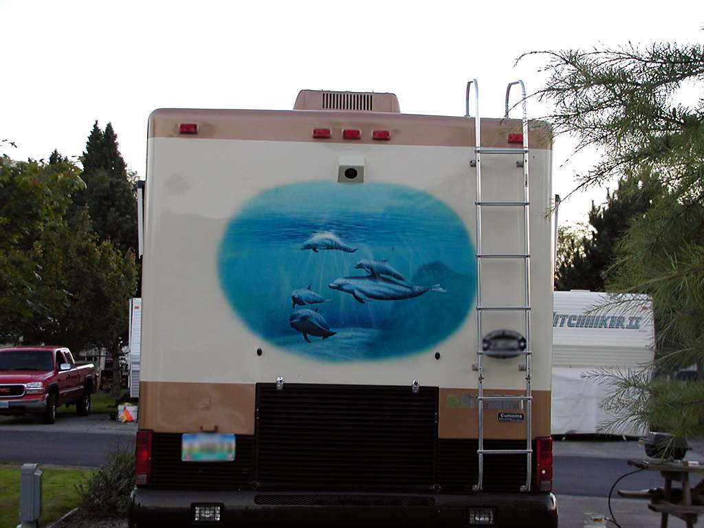 Sea_Life Mural