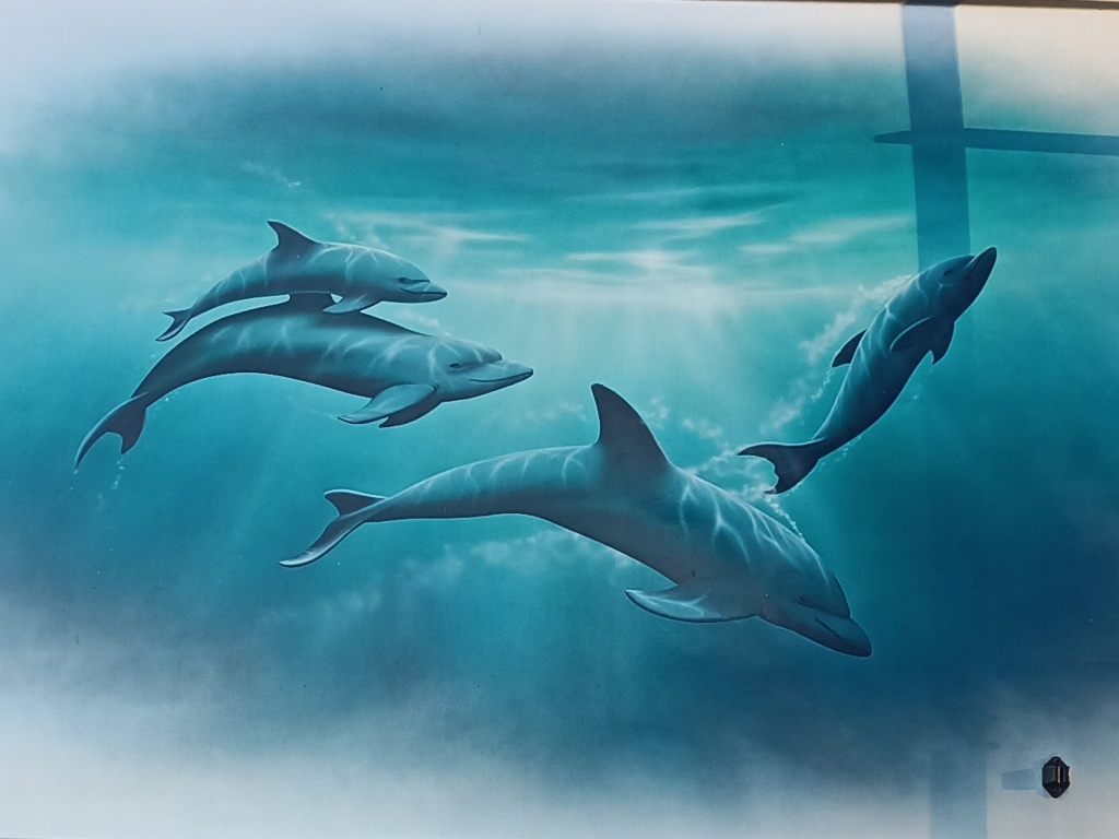 Sea_Life Mural