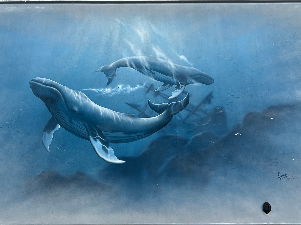 Sea_Life Mural