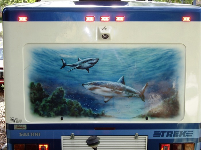 Sea_Life Mural