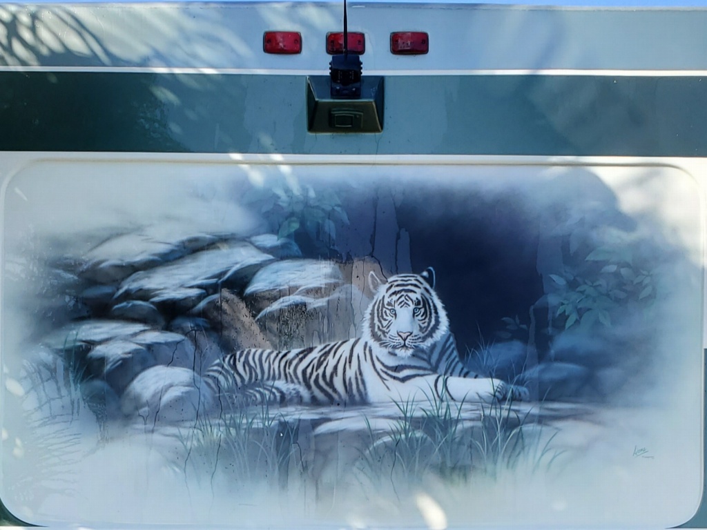 Tiger Mural