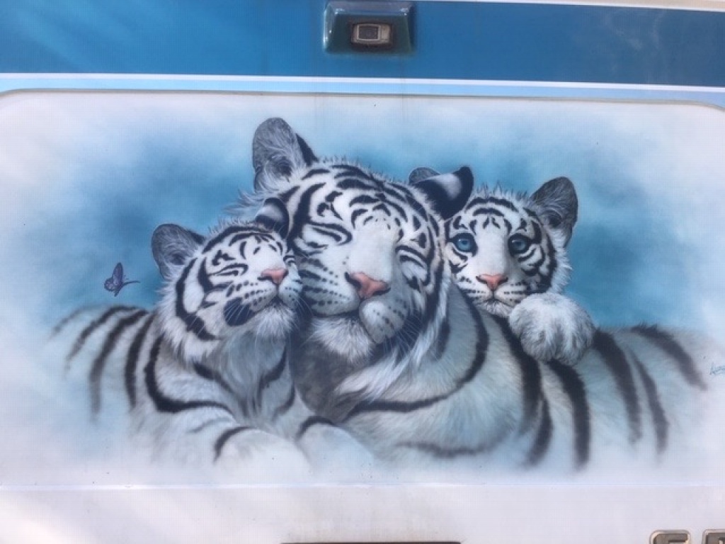 Tiger Mural