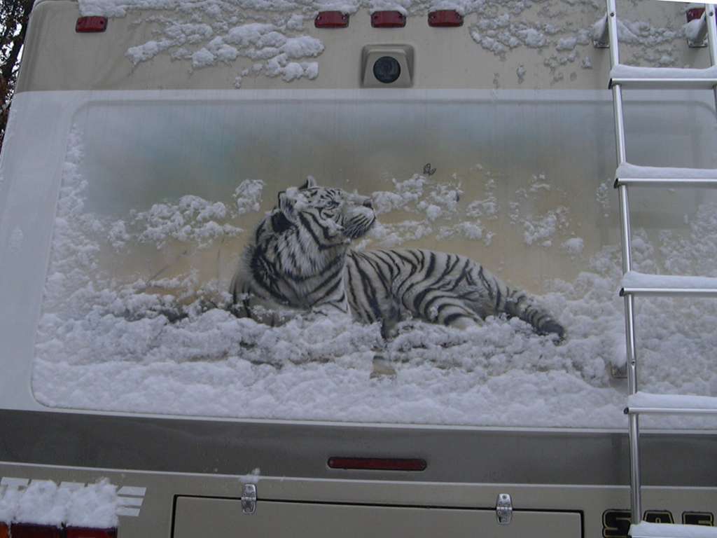 Tiger Mural