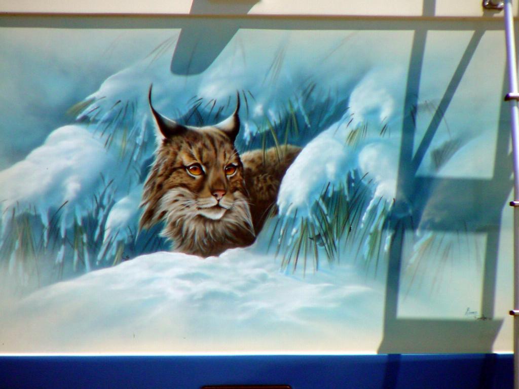 Wild_Cat Mural