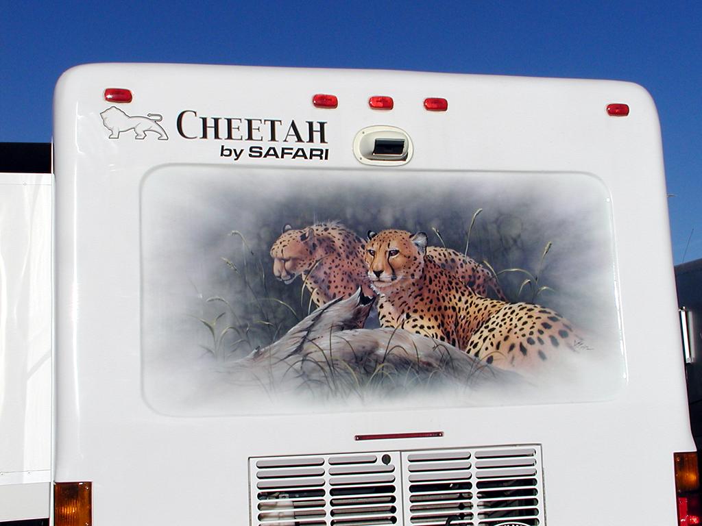cheetah Mural