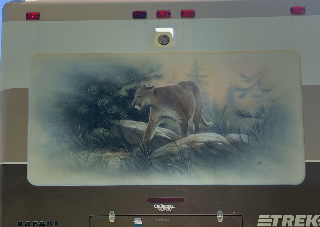 cougar Mural