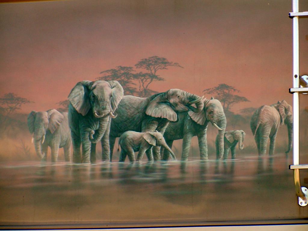 elephant Mural