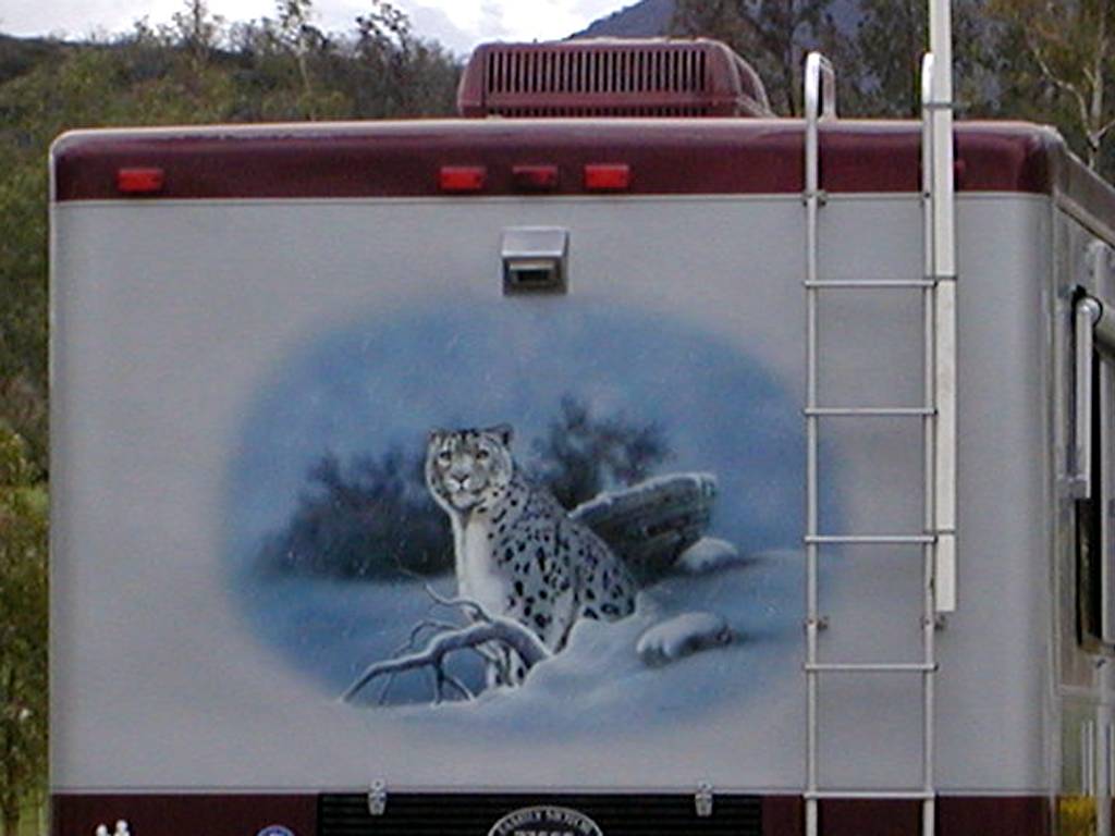 leopard Mural