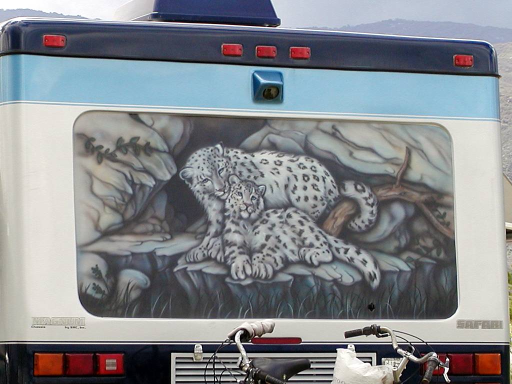 leopard Mural