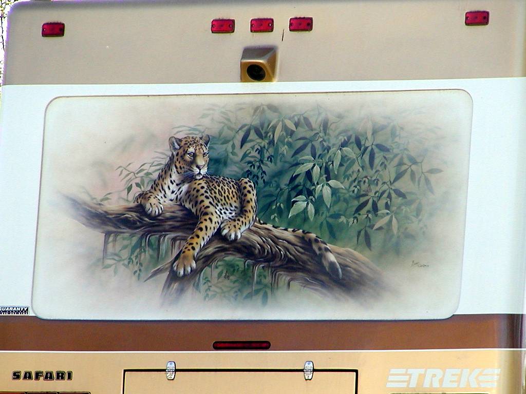 leopard Mural