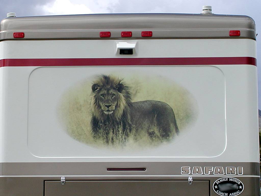 lion Mural