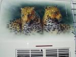 Cheetah Mural