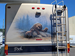 Bear Mural