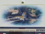 Tiger Mural