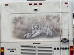 Tiger Mural