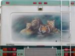 Wild_Cat Mural