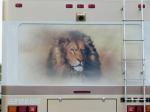 Lion Mural