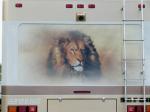 Lion Mural