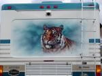 Tiger Mural