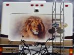 Lion Mural