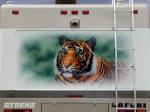 Tiger Mural