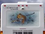 cheetah Mural