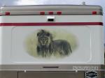 Lion Mural