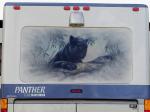 Panther Mural